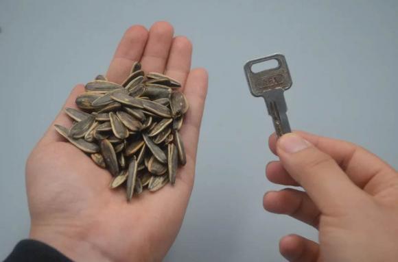 Không dùng tay bóc hạt hướng dương? Chỉ cần một chiếc chìa khóa, bạn có thể bóc một đĩa lớn trong vài phút, sạch sẽ, hợp vệ sinh mà không làm tổn thương tay-1