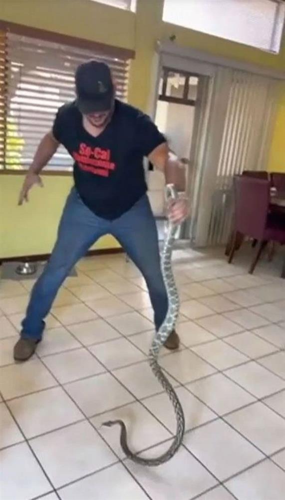 Thả mình thư thái vào chiếc ghế sofa, người đàn ông giật bắn mình phát hiện khách lạ mò tới tự bao giờ, gọi điện thoại cầu cứu trong hoảng loạn-2