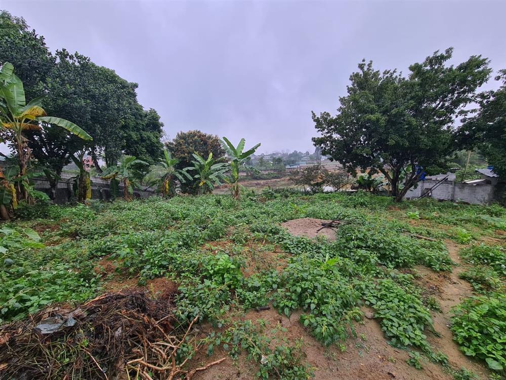 Đất tăng giá phi mã, người ở phố lại đi ôm đất vườn diện tích lớn-4