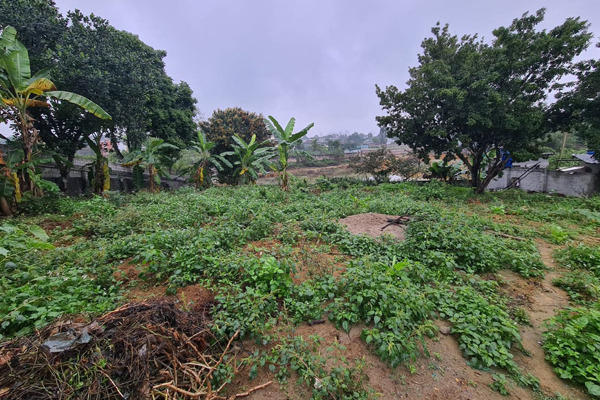 Tiền nhiều biết làm gì: Chôn chục tỷ vào đất, tháng thu về 5 triệu lẻ-3