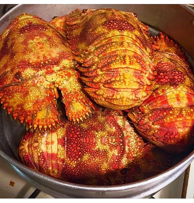 Loại tôm lạ có giá hơn 2 triệu đồng/kg, nhà giàu mỏi mắt lùng mua-5