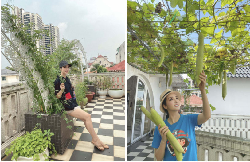 Hoa hậu Giáng My giàu có cỡ nào ở tuổi 50?-6