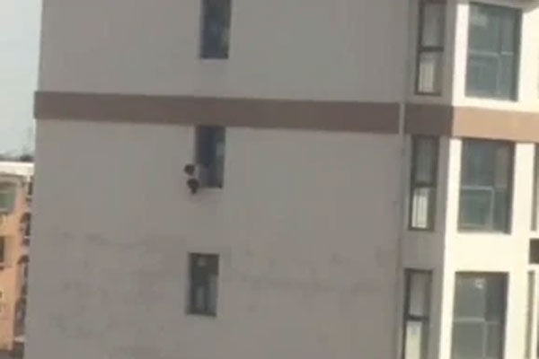 Dân Mỹ nợ nần vì ăn cưới liên tục-4