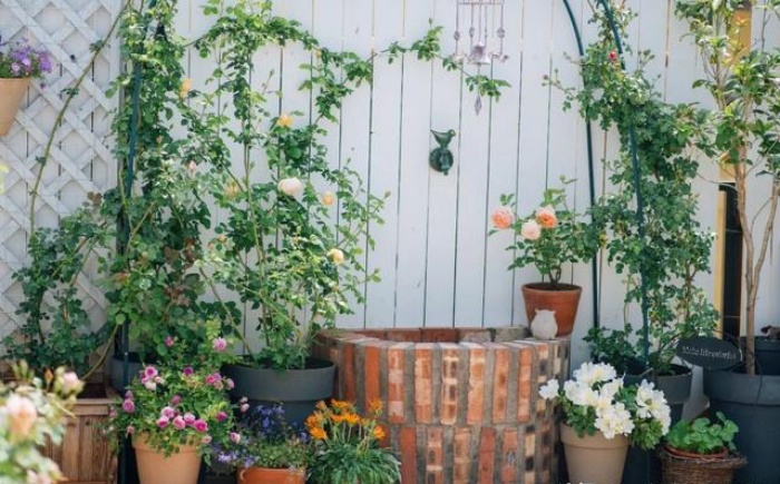 Bà mẹ trẻ trồng cả vườn hồng trên sân thượng rộng 33m²-3