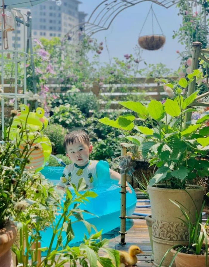 Bà mẹ trẻ trồng cả vườn hồng trên sân thượng rộng 33m²-10