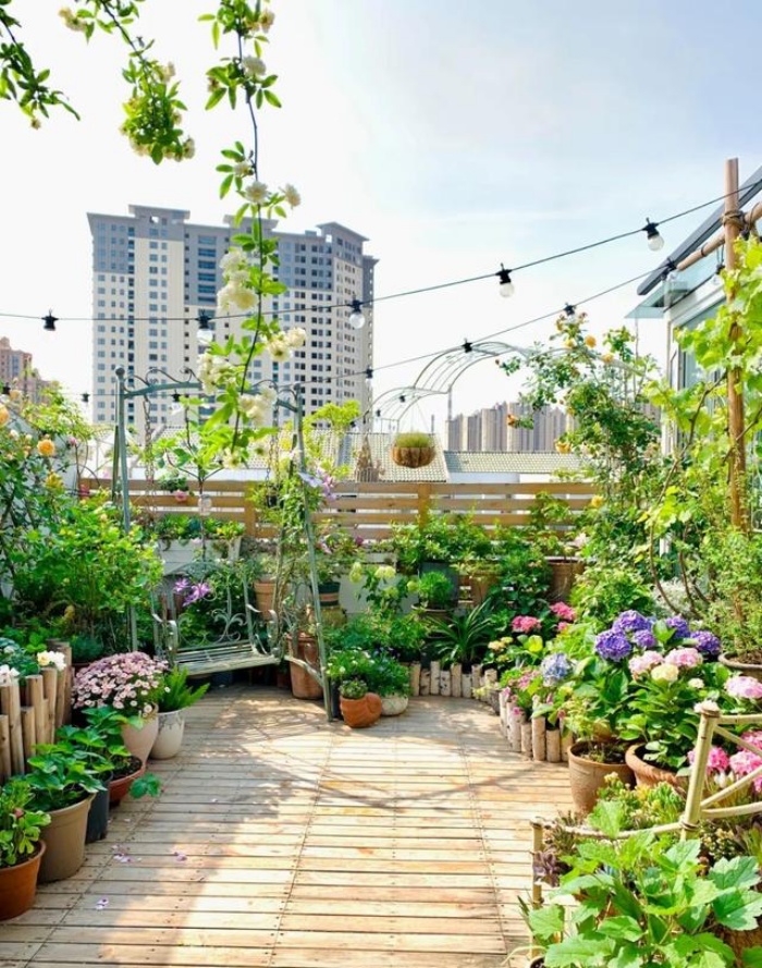 Bà mẹ trẻ trồng cả vườn hồng trên sân thượng rộng 33m²-6