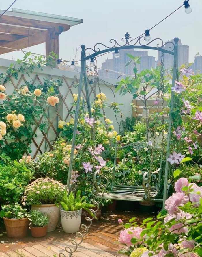 Bà mẹ trẻ trồng cả vườn hồng trên sân thượng rộng 33m²-8