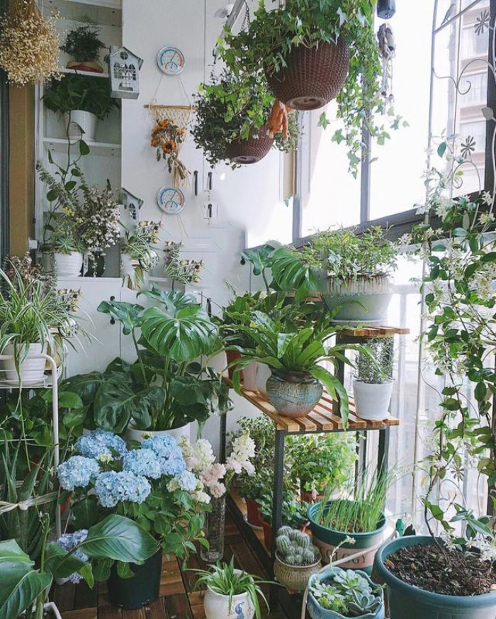 Bà mẹ trẻ trồng cả vườn hồng trên sân thượng rộng 33m²-16