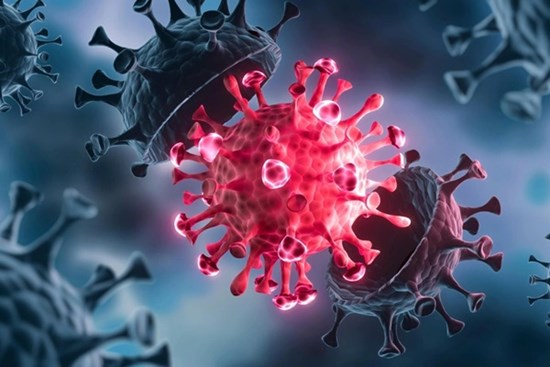 Phát hiện biến chủng nCoV mới