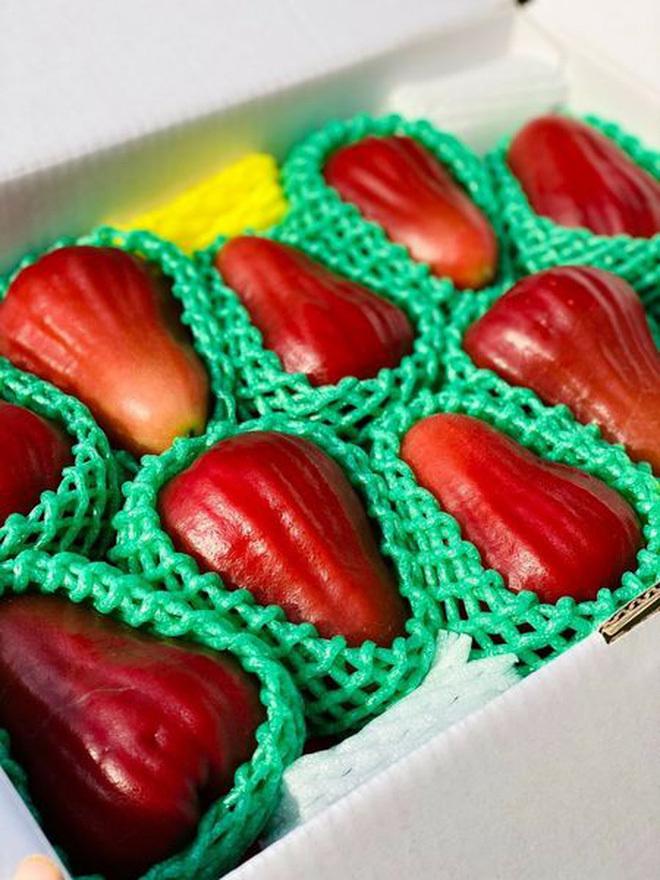 Roi ngọc bích Đài Loan 2,5 triệu/7 quả đang gây sốt có gì đặc biệt?-4