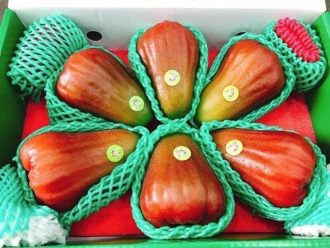 Roi ngọc bích Đài Loan 2,5 triệu/7 quả đang gây sốt có gì đặc biệt?-6