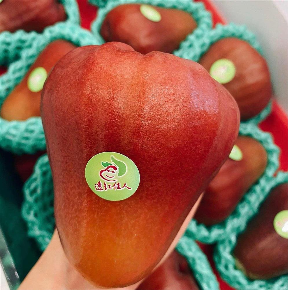 Roi ngọc bích Đài Loan 2,5 triệu/7 quả đang gây sốt có gì đặc biệt?-7