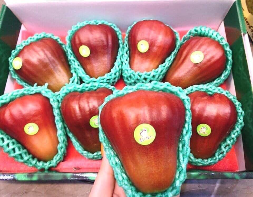 Roi ngọc bích Đài Loan 2,5 triệu/7 quả đang gây sốt có gì đặc biệt?-8