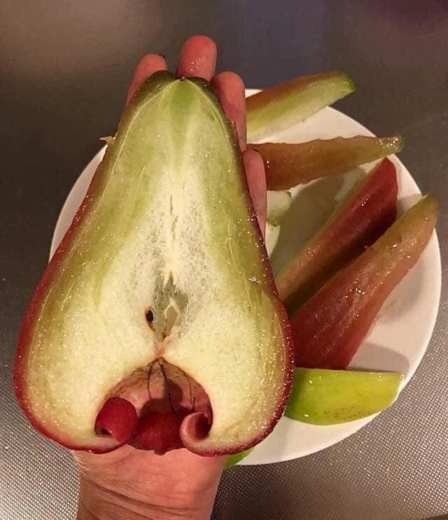 Roi ngọc bích Đài Loan 2,5 triệu/7 quả đang gây sốt có gì đặc biệt?-9