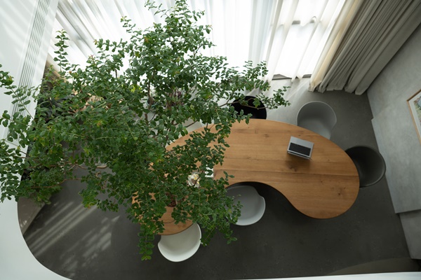 Căn hộ penthouses 230m2 của chàng trai 30 tuổi sang xịn,&nbsp;view làm việc siêu đẹp không kém gì quán cà phê-2