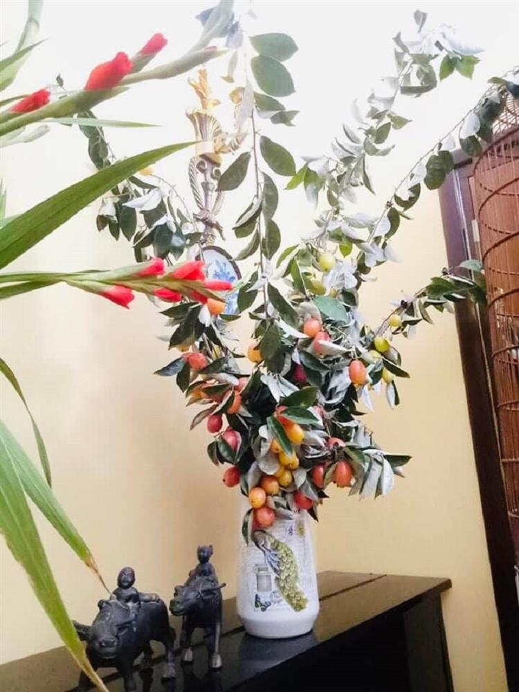 Thú cắm cành quả độc đáo, vừa để cắm cành trang trí nhà vừa chờ quả chín khiến nhiều chị em Hà thành thích mê-3