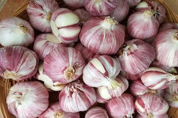 3 món ăn sáng dễ gây ung thư dạ dày nhất, khuyến khích nên ăn 2 món này vào bữa sáng để nuôi dưỡng dạ dày và sống thọ hơn-4