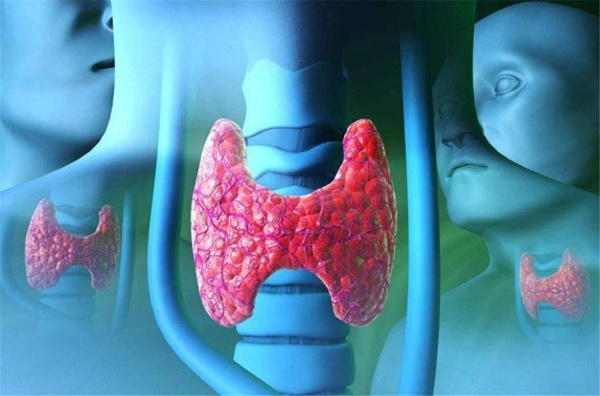 2 điểm bất thường ở cổ là dấu hiệu của ung thư tuyến giáp giai đoạn cuối, cảnh báo 3 nhóm người dễ mắc ung thư nhất cần phải chú ý thăm khám-3