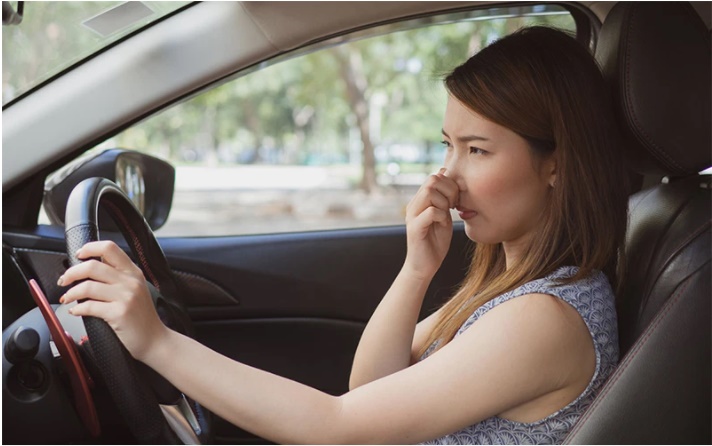 Mẹo vặt xử lý mùi hôi và nấm mốc trong xe ô tô hiệu quả tức thì cho xe sạch thơm cả ngày-1
