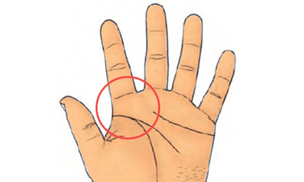 4 dấu hiệu này xuất hiện trong lòng bàn tay là bạn sẽ có nguồn tiền không ngừng, sự nghiệp hanh thông-1