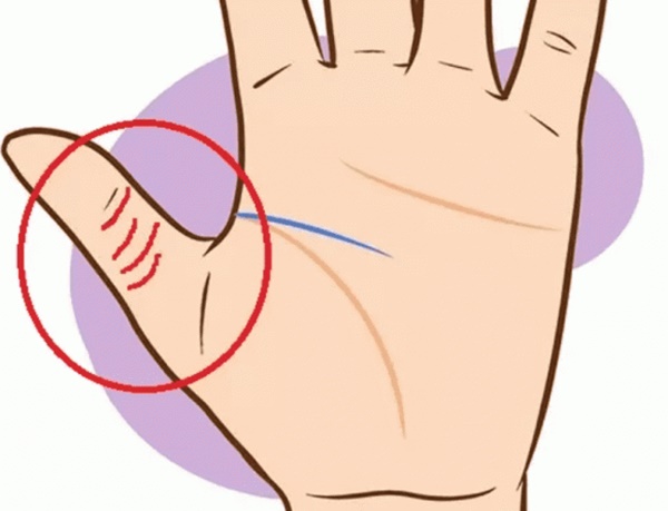 4 dấu hiệu này xuất hiện trong lòng bàn tay là bạn sẽ có nguồn tiền không ngừng, sự nghiệp hanh thông-2