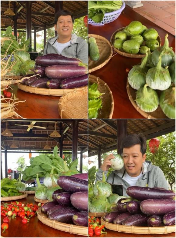 Trường Giang gây choáng khi khoe không gian vườn quý như vàng và hồ cá Koi bạc tỉ-4