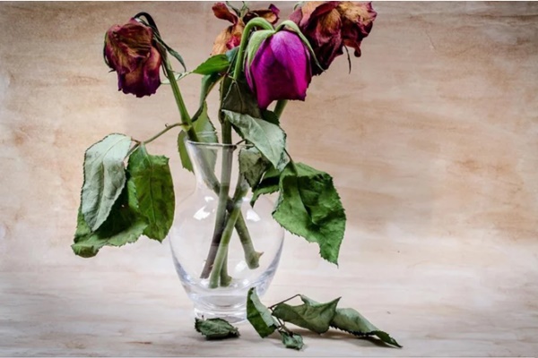 3 thứ này không xuất hiện trong phòng vợ chồng, chứng tỏ vợ chồng hòa thuận, tà khí không thể ngăn cản!-4