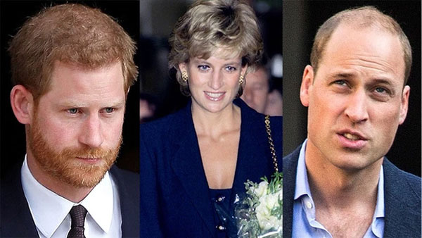 Chuyện giờ mới kể: Công nương Diana bị cáo buộc là kẻ thứ 3, Hoàng tử William đưa ra câu nói đầy táo tợn-1
