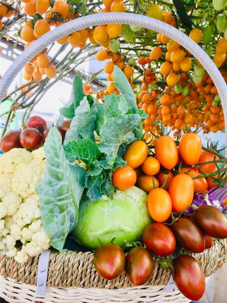 Với 5 triệu đồng, mẹ đảm Sài Gòn phủ kín sân thượng chỉ 50m² các loại trái ngọt, quanh năm sai trĩu cành-19