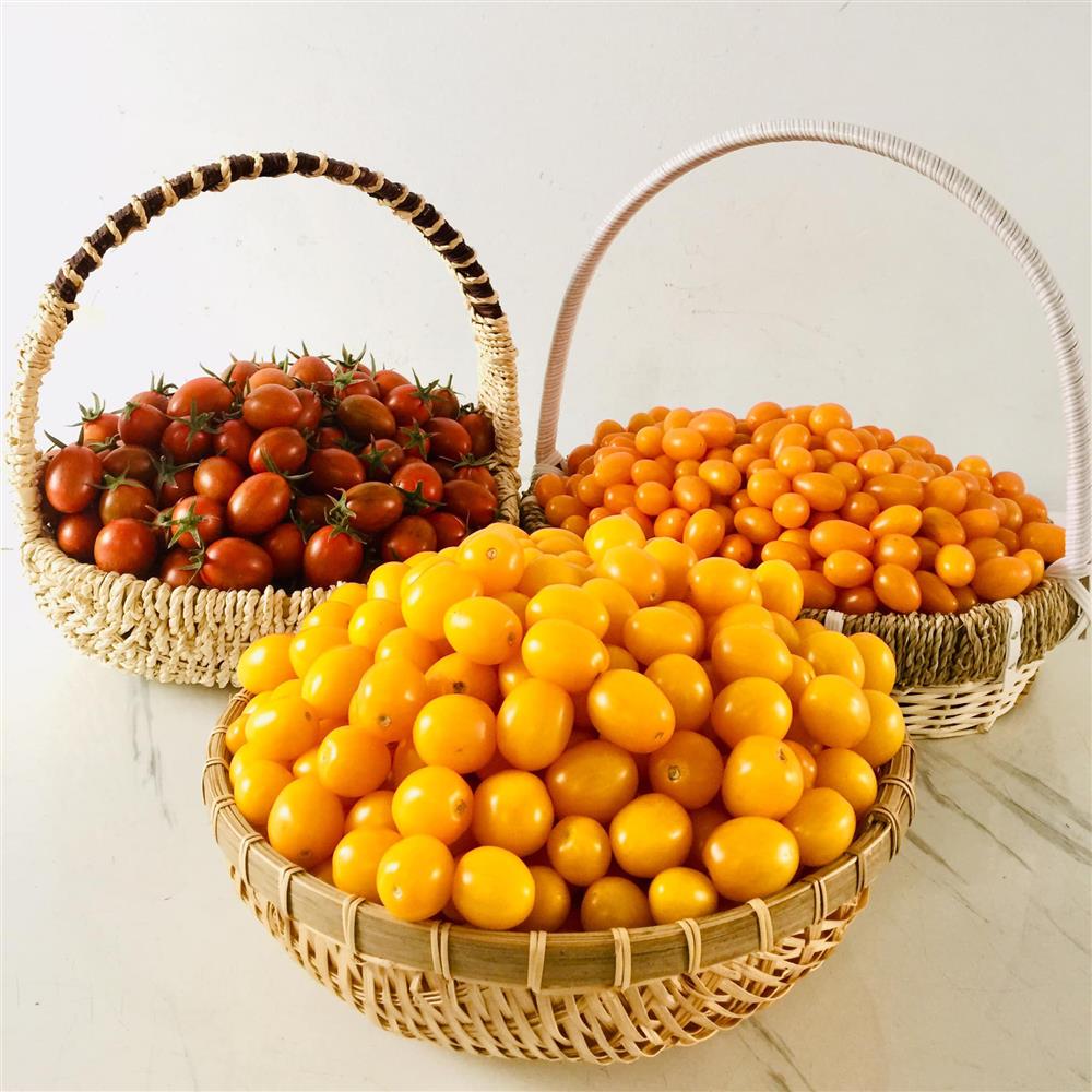 Với 5 triệu đồng, mẹ đảm Sài Gòn phủ kín sân thượng chỉ 50m² các loại trái ngọt, quanh năm sai trĩu cành-21