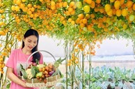 Với 5 triệu đồng, mẹ đảm Sài Gòn phủ kín sân thượng chỉ 50m² các loại trái ngọt, quanh năm sai trĩu cành