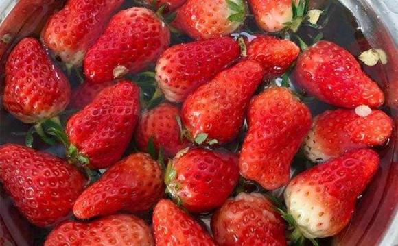 Khi rửa dâu, một số người cho thêm muối, một số cho thêm bột mì! Hướng dẫn bạn cách làm đúng, trứng côn trùng và thuốc trừ sâu hết sạch-4