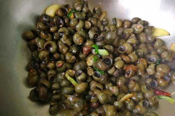 Chán ốc luộc thì làm ngay món ốc xào cay ngon đúng điệu, thơm nồng đã miệng-7