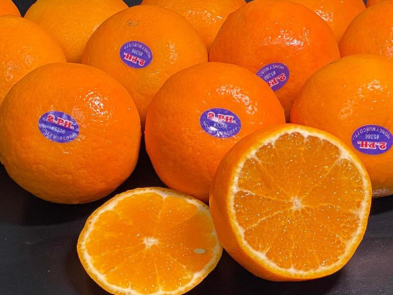 Bay từ Úc về Việt Nam, đặc sản ở xứ sở chuột túi giá rẻ giật mình-1