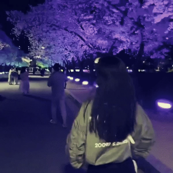 Kim Tae Hee và Bi Rain trốn con hẹn hò ngắm hoa anh đào, nhờ hẳn ông xã quay clip xinh xỉu phủi bụi Instagram-2