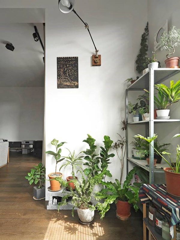 Ngôi nhà cổ kính 50 năm tuổi sau&nbsp;cải tạo thay đổi ngoạn mục, không gian mở rộng&nbsp;thông thoáng-12