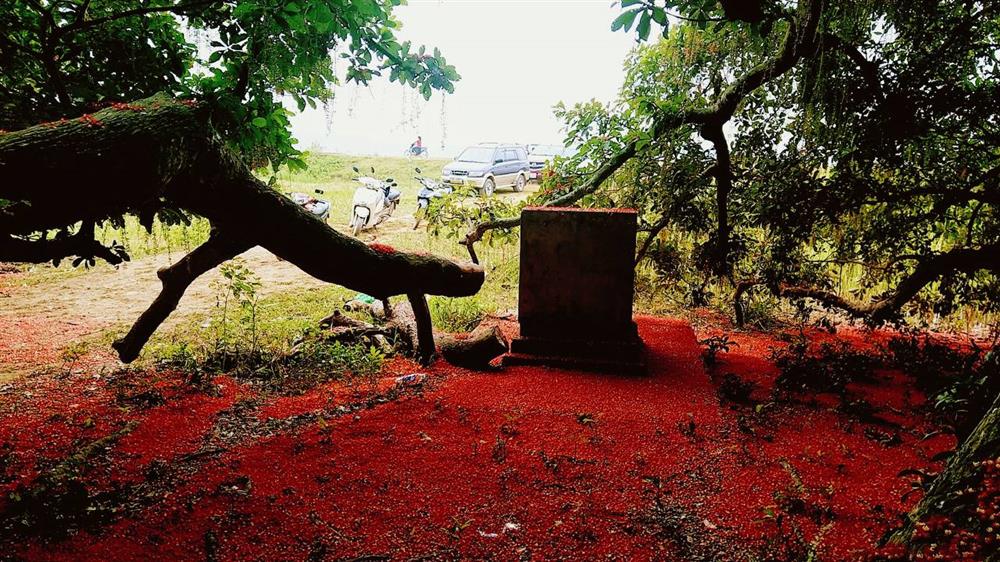 Bí ẩn mộ cổ con gái Vua Hùng nằm giữa gò lộc vừng và huyền tích về kho vàng được trấn giữ nghìn năm bởi con số 68 linh thiêng-9