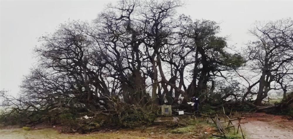 Bí ẩn mộ cổ con gái Vua Hùng nằm giữa gò lộc vừng và huyền tích về kho vàng được trấn giữ nghìn năm bởi con số 68 linh thiêng-4