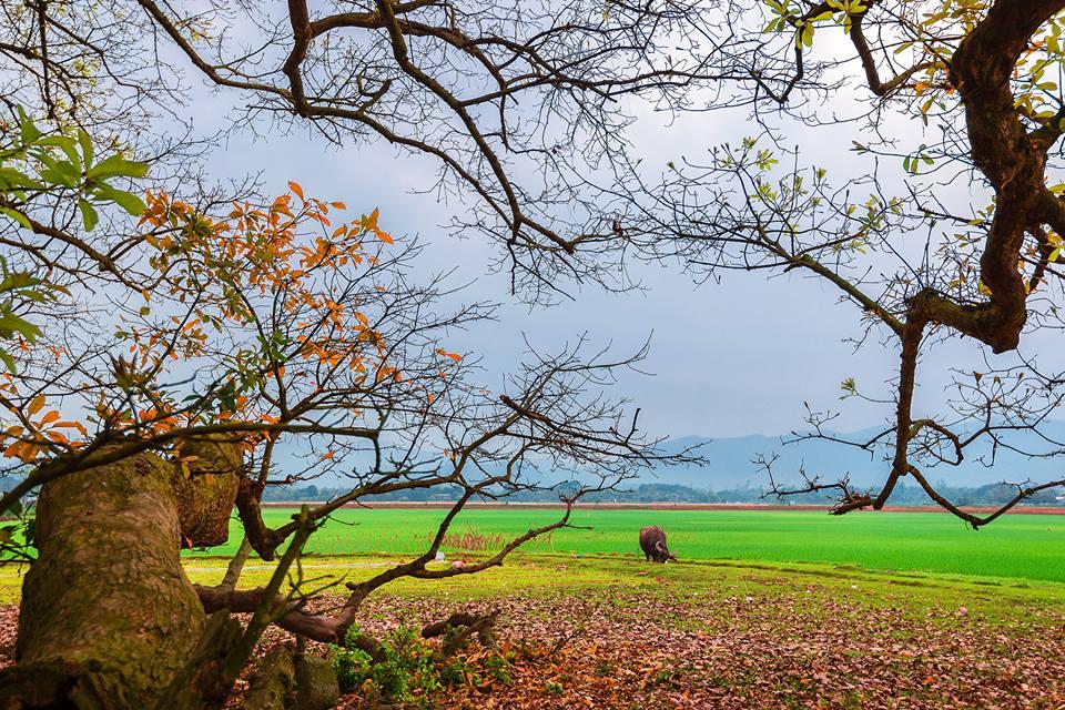 Bí ẩn mộ cổ con gái Vua Hùng nằm giữa gò lộc vừng và huyền tích về kho vàng được trấn giữ nghìn năm bởi con số 68 linh thiêng-12