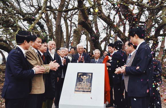 Bí ẩn mộ cổ con gái Vua Hùng nằm giữa gò lộc vừng và huyền tích về kho vàng được trấn giữ nghìn năm bởi con số 68 linh thiêng-21