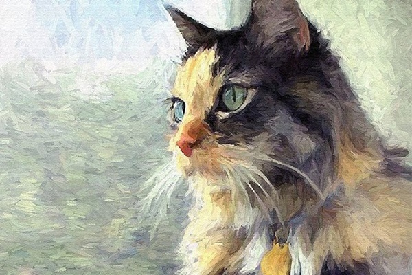 4 con giáp kiếm tiền giỏi nhất năm 2022: Nhận nhiều phúc lộc trời ban, tiền tài tự tìm đến cửa-1