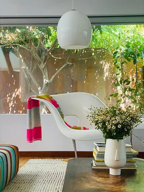 Hoa hậu Dương Mỹ Linh khoe vườn nhà trăm hoa đua nở, cây sai trĩu trái ở Mỹ-3