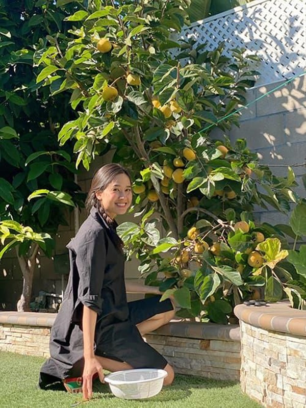 Hoa hậu Dương Mỹ Linh khoe vườn nhà trăm hoa đua nở, cây sai trĩu trái ở Mỹ-11