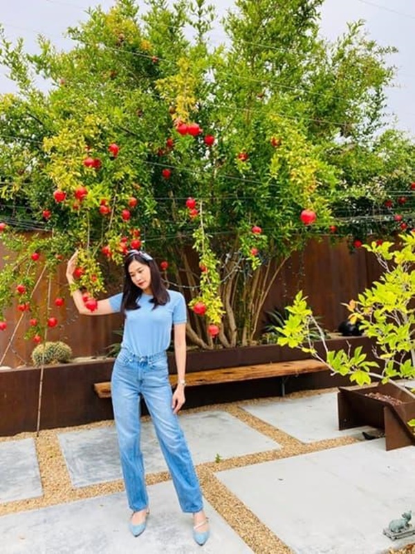 Hoa hậu Dương Mỹ Linh khoe vườn nhà trăm hoa đua nở, cây sai trĩu trái ở Mỹ-12