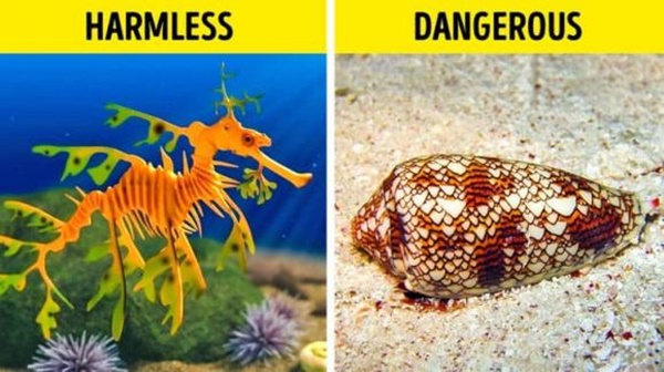 8 kinh nghiệm hữu ích cho những ai thích bơi lội hoặc chuẩn bị đi bơi nên biết-4