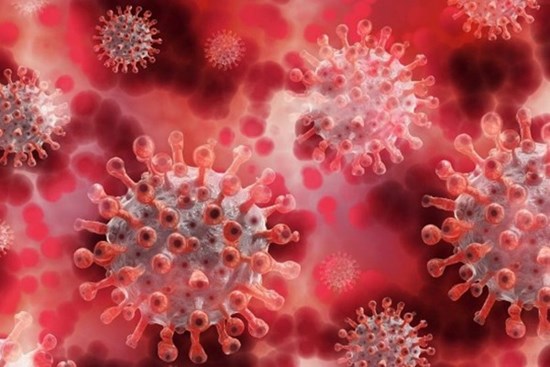 Nhật Bản phát hiện ca nhiễm biến chủng XE đầu tiên