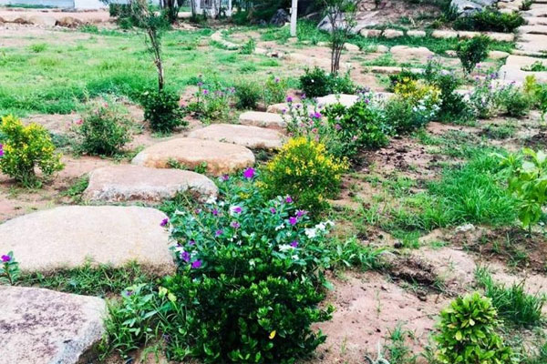 Cò đất kiếm trăm triệu dễ như chơi, bố quát con: Học nhiều để làm gì?-1