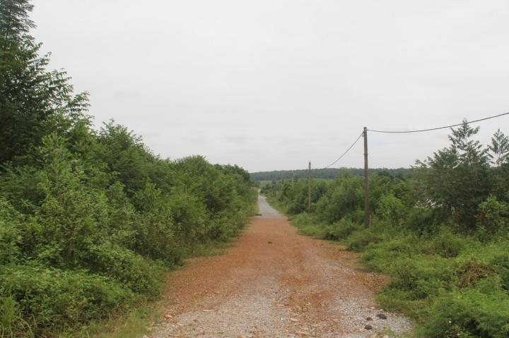 Mua đám đất hoang giữa cơn sốt, người đổi đời, kẻ trắng tay-1