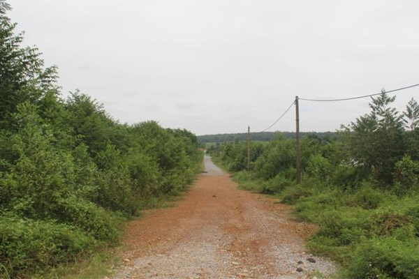 Cò đất lùng sục khắp ngõ ngách sau công bố quy hoạch phân khu đô thị sông Hồng-4