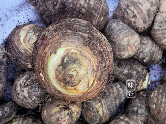 Khi mua khoai môn (khoai sọ), thật sai lầm khi cứ chọn củ to và nặng tay. Người nông dân sẽ dạy bạn cách chọn củ nào cũng thơm bở-3